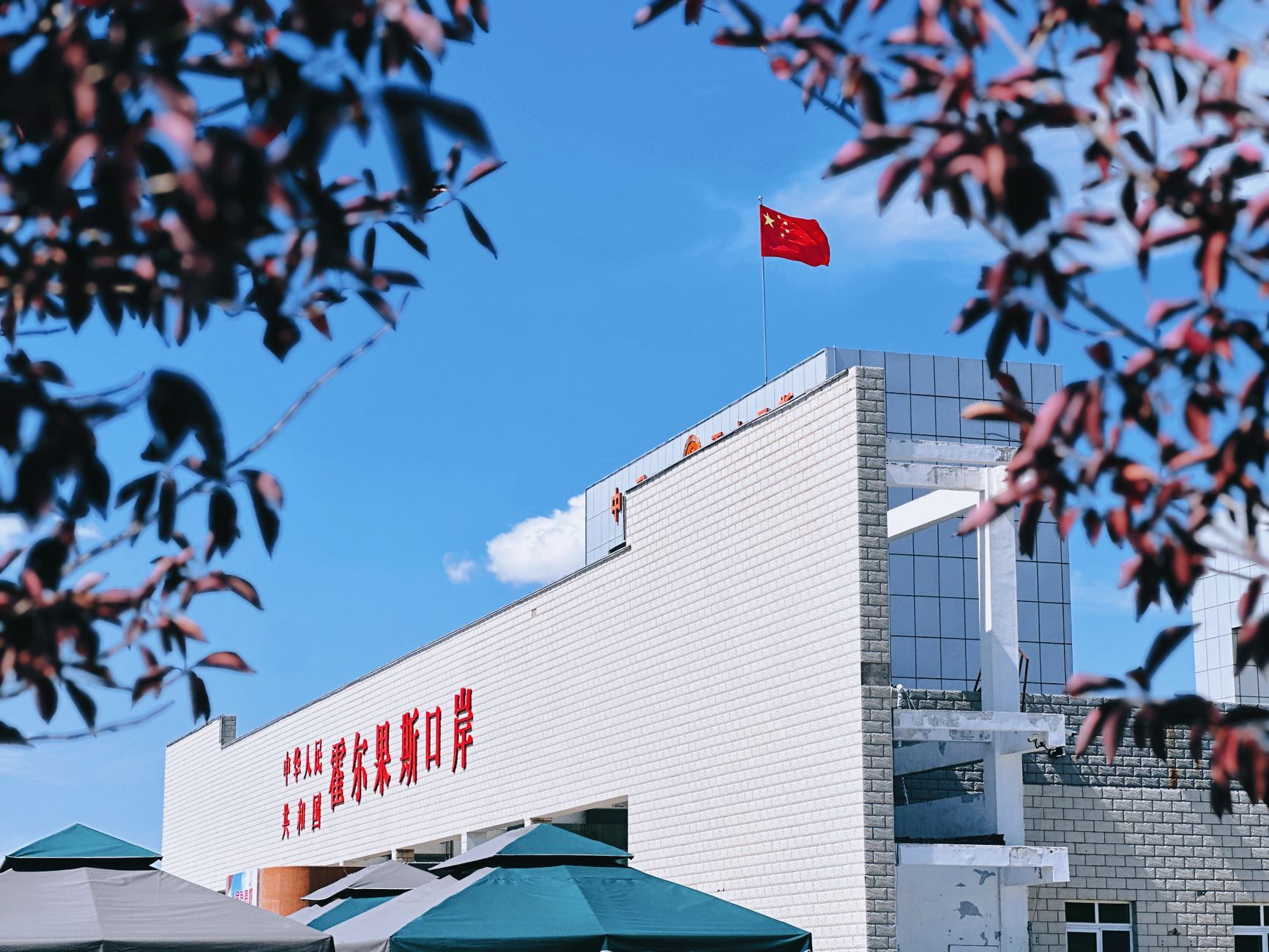 进口食品中文标签特写，显示原产国与代理商信息